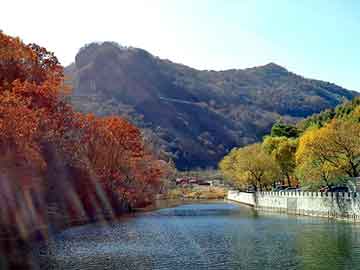 新澳门免费精准大全，天河复印机租赁